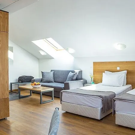 酒店 Park Asarel 帕纳久里什泰