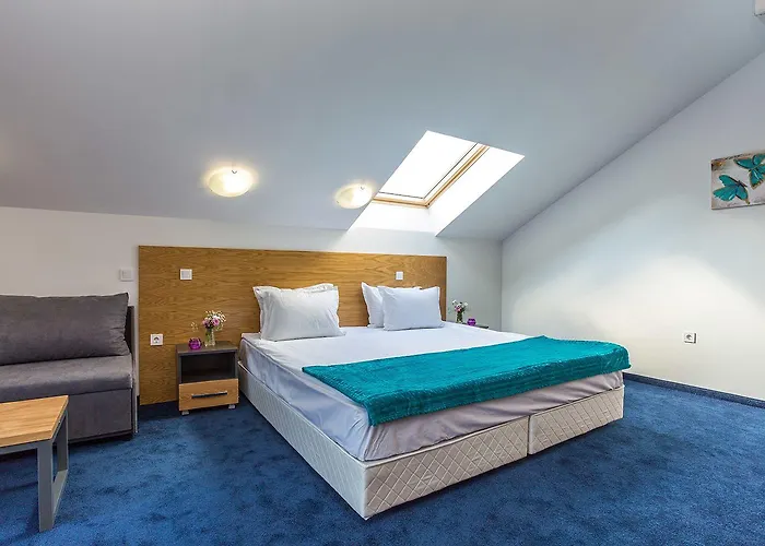 Ξενοδοχείο Park Asarel